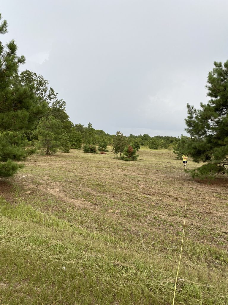 Modern White Farmhouse will be build on this empty land with green grass and trees in the background